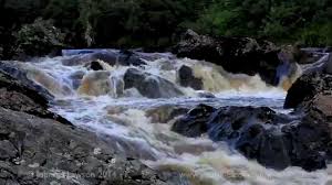 Bird Sounds Birds Singing Mp3 Download I Sat With My Feel In Cool Rushing Water Letting My Stresses And Tensions Flow Away From Me In The Turbulent Water Why Don Nature Sounds Ocean Sounds Nature