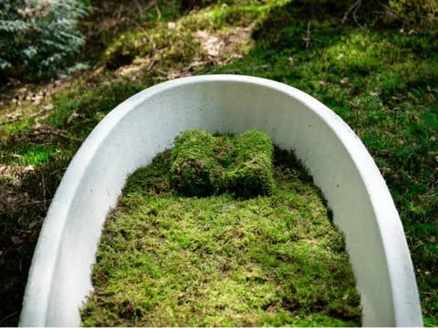 Riposa in pace tra funghi e canapa: Loop Biotech e la bara biodegradabile