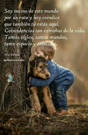 Pin En Abraza Tu Alma