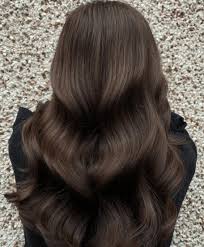 See more ideas about chocolate brown hair color, brown hair colors, hair. Chocolate Brown Hair Color Brunettes Blush Pearls