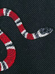 Roses of gucci snake wallpaper in 2019 gucci wallpaper iphone. 96 Gucci Snake Wallpaper On Wallpapersafari