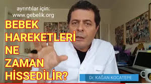 anne ve baba adaylari rahim icindeki bebek hareketlerini ve kipirdanmalari kacinci haftada hisseder youtube