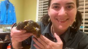 Lil Kevin or Bobby Marko??? 🐿️❤️🐢