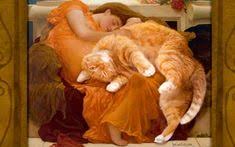 Fat orange cat is grinning. Fat Orange Cat