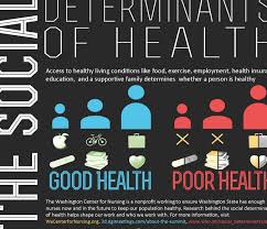 Social Determinants Of Health In 2020 Health Promotion Public Health Career Social Determinants Of Health