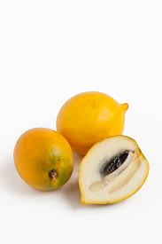 Image result for Pouteria