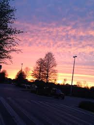 Caroline Stiles (@caroline_stiles)