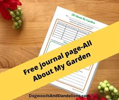 How to start my garden. How To Start A Container Garden With Your Kids Dogwoods Dandelions