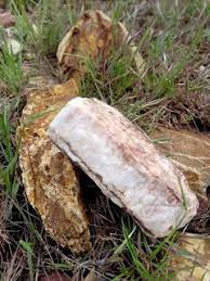 photos live wallpaper gratouit photoshop images animal collage photo best wallpapers hd 4k pure white colored rocks pure products photoshop images color
