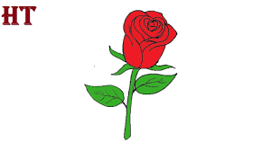 As with our other drawing tutorials, you can grab a printable. Rose Flower Drawing Step By Step How To Draw A Rose Easy For Beginners