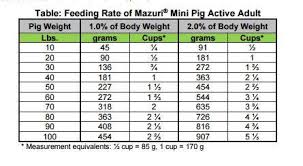 Mini Pig Nutrition American Mini Pig Association