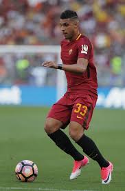 Resultado de imagem para emerson palmieri