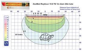 An In Depth Look At Uv Light And Its Proper Use With Reptiles