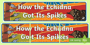 How The Echidna Got Its Spikes Display Banner Australian Aboriginal Dreamtime Stories How The Echidna Got Its Display Banners Echidna Aboriginal Dreamtime