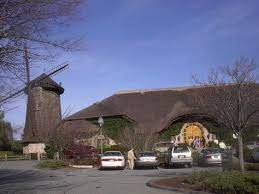 Christmas tree shops locations in massachusetts. Christmas Tree Shop Sagamore Ma Christmas Tree Shop Cape Cod Sagamore