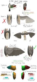 Flugel Dibujos Bocetos Dibujo De Alas