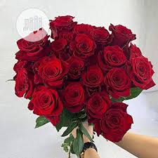 Rose flower stock photos and images. Fresh Rose Flower Bouquet Fresh Natural Roses In Jos Feeds Supplements Seeds Hpk Supermart Jiji Ng