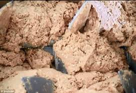 The pink slime of mcdonald's. How To Make A Chicken Mcnugget Mcdonald S Reveals Secret Of Top Selling Snack And Says They Are Made Of Just Breast Meat And Skin After Claims The Nuggets Contain Pink Slime