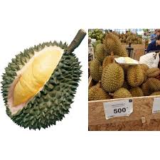 Thoa một lớp bơ thật mỏng lên bề mặt chảo, chú ý để lửa nhỏ. Cáº­p Nháº­t Gia Sáº§u Rieng Hom Nay 2020 Má»›i Nháº¥t Bao Ä'áº¯k Láº¯k