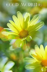 You all are again welcome here at kuchkhastech.info. Good Morning Good Morning Images Good Morning Cards Morning Images