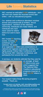 The largest litter ever recorded was an incredible 19 kittens! Statistics National Kitten Coalition