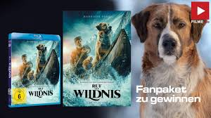 Fatima (2020) online subtitrat in romana. Ruf Der Wildnis Gewinnspiel Blu Ray Poster Film 2020 Die Besten Filme Aller Zeiten