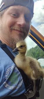 Abandoned gosling found while fishing