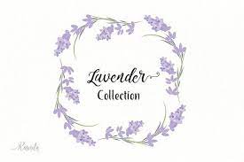 Lavender Plant Flowers Clipart In 2021 Lavender Plant Planting Flowers Clip Art