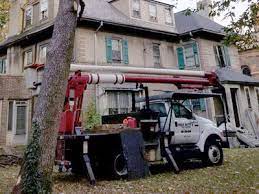 Elmwood services inc provides tree trimming, tree removal, stump grinding, and landscape design service. Tree Service In Bergen County Nj
