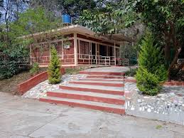 Sterling Wayanad, Harrassment to Max