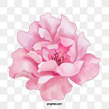 Deloiz blogspot co id background bunga pink png 2. Pink Flower Png Images Vector And Psd Files Free Download On Pngtree