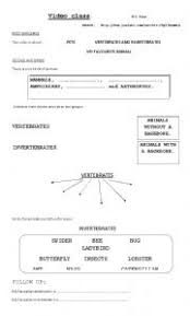 These science invertebrate worksheets are great for any classroom. English Worksheets Vertebrate And Invertebrate Animals