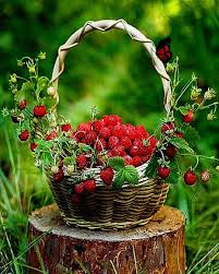 Pin On Strawberry