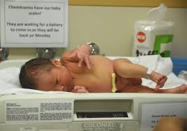 Image result for Preterm Infant Growth