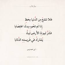 شعر ابن حمديس فلا تقنع من الدنيا بحظ عالم الأدب Cool Words Words Quotes