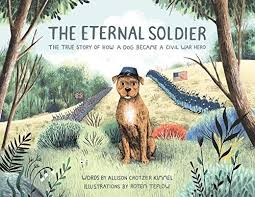 Pin By Jen S Book Talk On Soldiers Thank You Civil War Heroes War Heroes Civil War