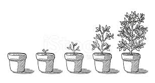 We did not find results for: Potted Plant Growing Timelapse Drawing Stock Vector Freeimages Com