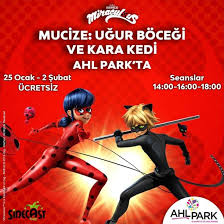Ahl Park Mucize Ugur Bocegi Ve Kara Kedi