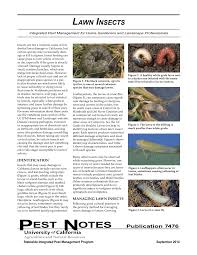 Originally, it was written for commercial growers, county extension agents, consultants, field and nursery staff, and chemical. Pdf Uc Ipm Pest Note Lawn Insects