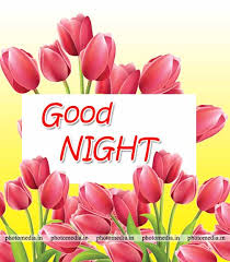 New good night flowers images, photos, wallpaper free download for whatsapp. 227 Good Night Images Download Cute Pictures Photo Media