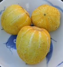 Check spelling or type a new query. Lemon Cucumber Seeds Cucumber Seeds Lemon Cucumber Growing Organic Vegetables
