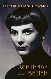 Een schitterend gebrek : roman