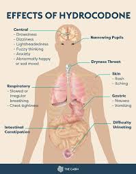 Image result for Hydrocodone