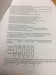 Dna Replication - Leading Strand Vs Lagging Strand & Okazaki Fragments -  Youtube