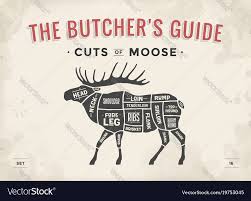 Butcher Diagram Scheme Moose Vector Image