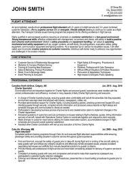 Passion for working with people and awarded employee of the month several times. Experienced Cabin Crew Cv Premium Cabin Crew Resume Premium Career Objective Cabin Crew Cabin Flight Attendant Jobs From Around The World Shiloh Mcdowell