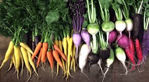 14 vegetables you can grow indoors in the fall and winter arugula. Growing Vegetables In The Cold The Best Varieties For Winter