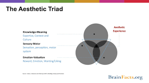 Labelling a woman 'beauty with brains' can never be seen as a compliment, because it limits, and stereotypes a woman. The Artistic Brain A Neuroaesthetics Approach To Health Well Being And Learning Youtube