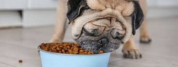 What's the best dog food for pugs? 5 Of The Best Dog Food For Overweight Pugs For Weight Control