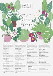 The Small Garden Design Ideas Balcony Plants Apartment Balcony Garden Balcony Flowers